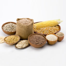 Imagem por categoria Grãos Secos, Arroz e Massas
